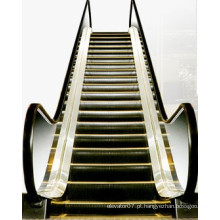 Escada rolante interna fjzy com largura do passo de 30 graus 1000mm
